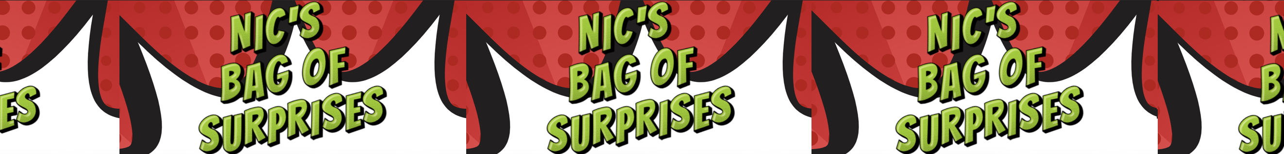 NIC'S LOGIC BAG OF SURPRISES