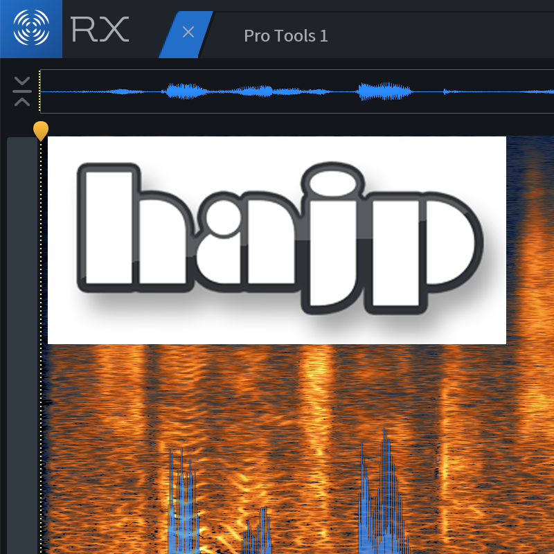 Pro Tools + RX 9 Hajp